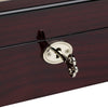 Ebony Display 5 Watch Lock Box